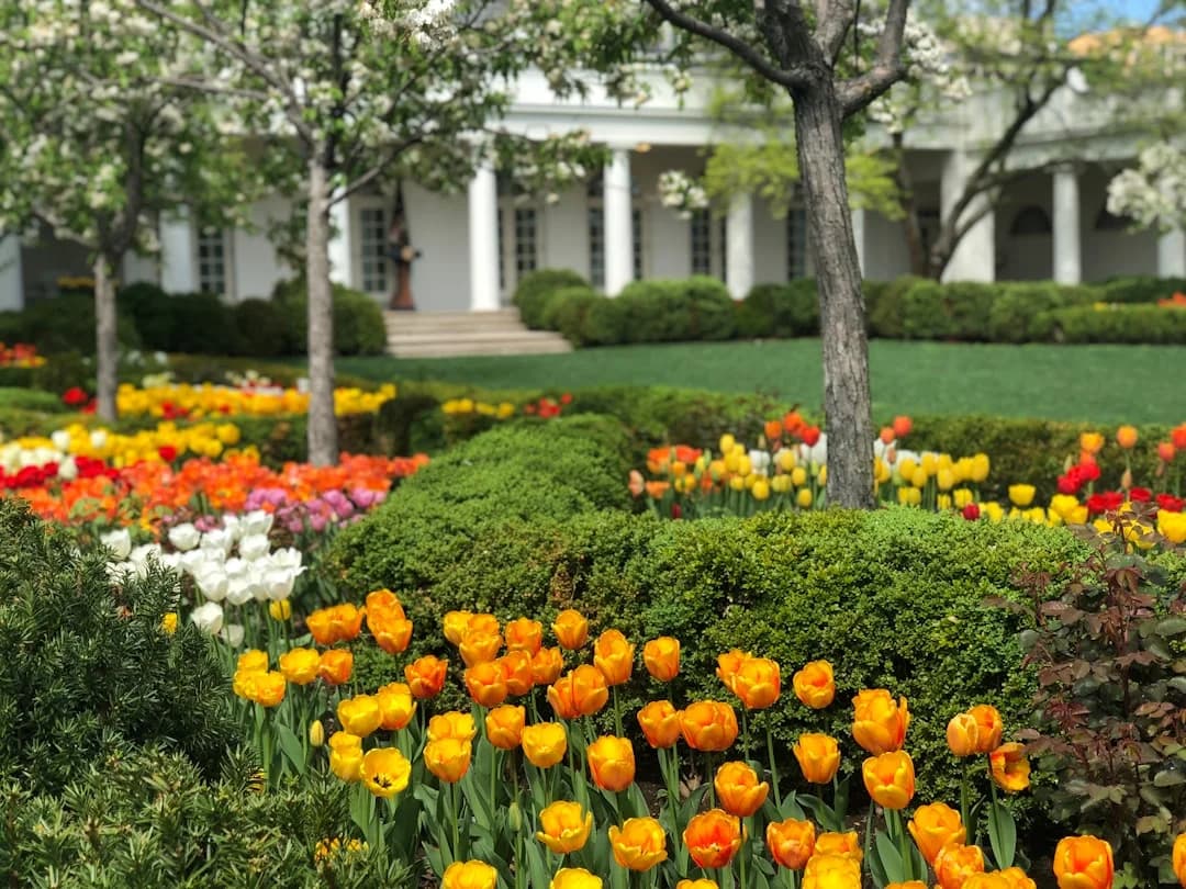 Cover Image for Hidden DC Parks and Gardens 2026: Quiet Green Spaces