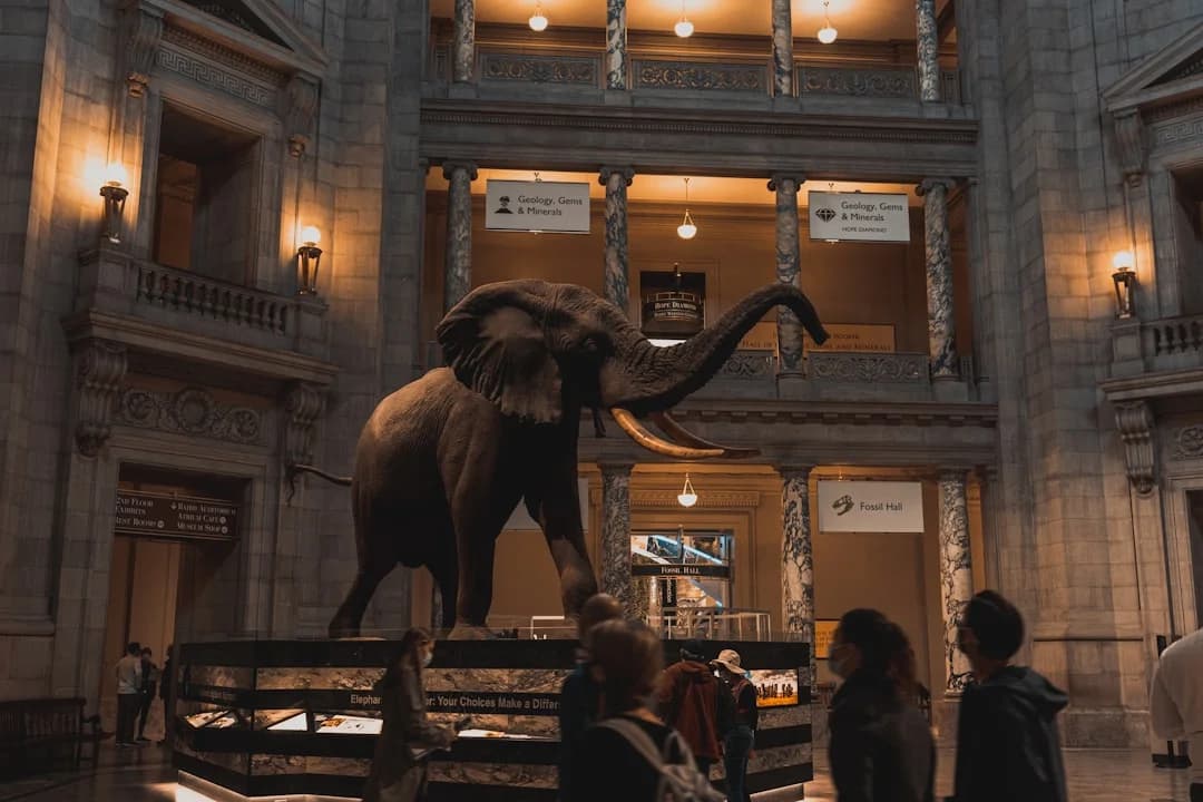 Cover Image for National Geographic Museum of Exploration Opening DC