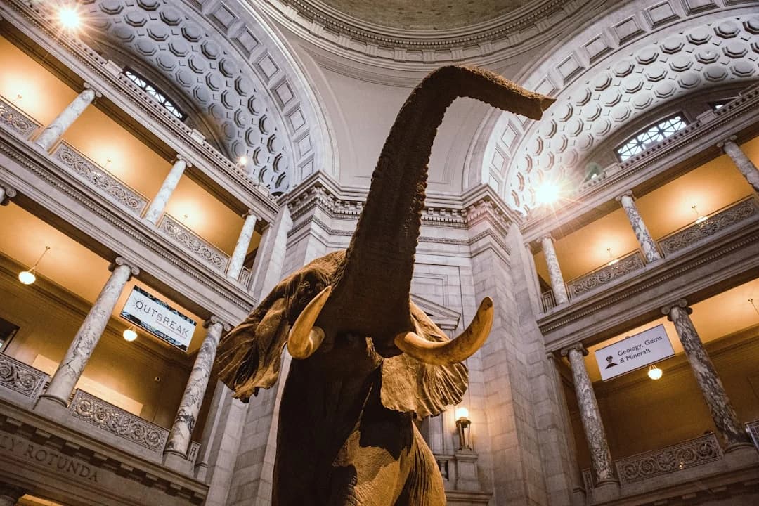 Cover Image for Nick Cave Mammoth Smithsonian American Art Museum Opens
