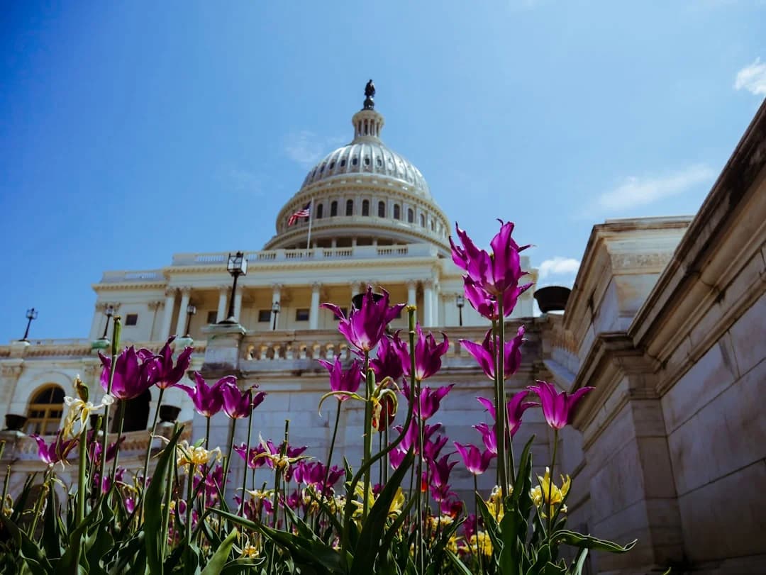 Cover Image for Consolidated Appropriations Act 2026 – DC funding Update