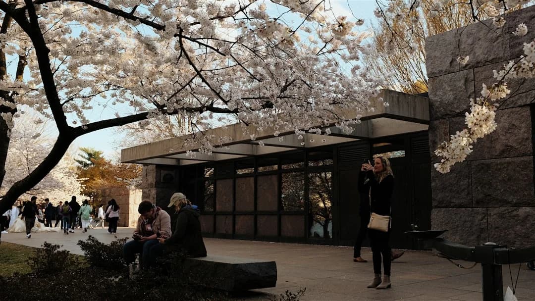 Cover Image for DC Restaurant Openings Spring 2026: Watch Six New Concepts