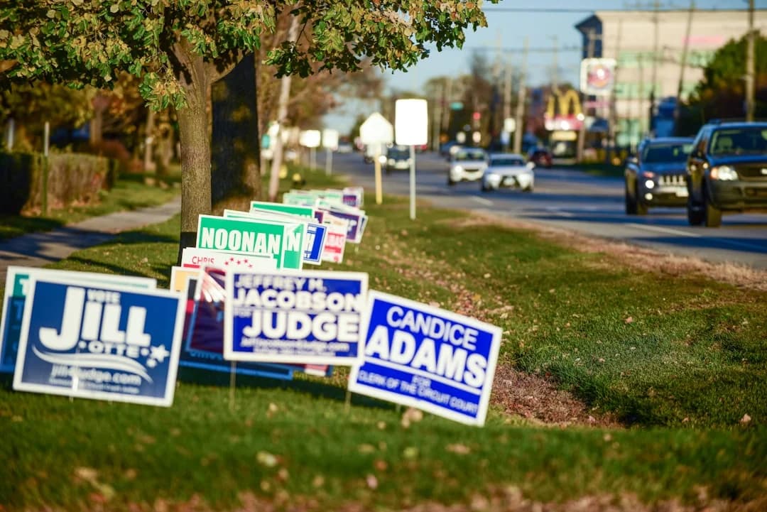Cover Image for Janeese Lewis George Mayoral Primary 2026: DC's Next Mayor