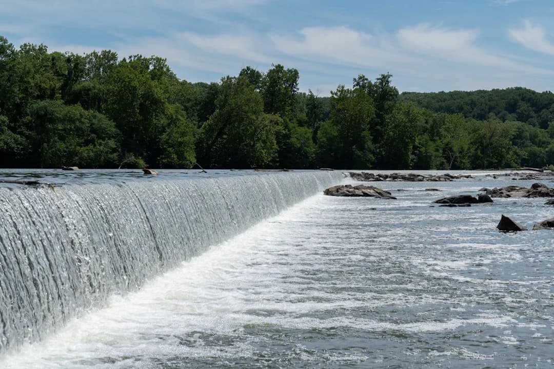 Cover Image for Potomac Sewage Spill 2026 Recreation Guidance