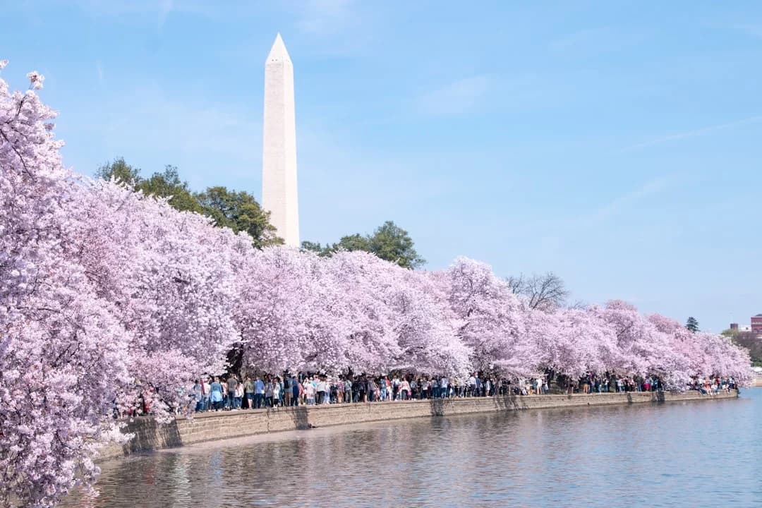 Cover Image for Capital Pride 2026 Events DC: News Update